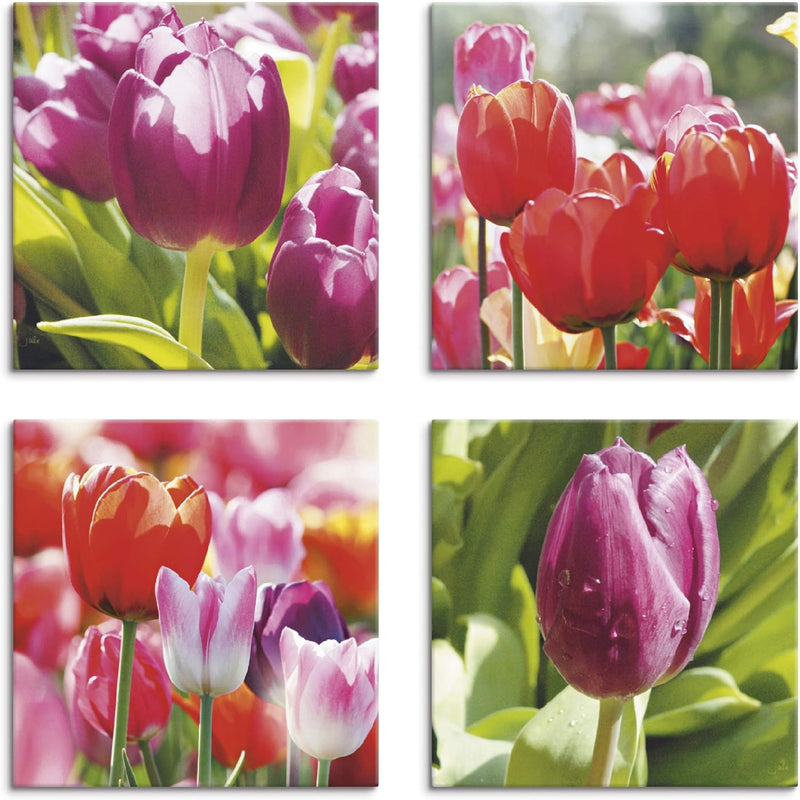 ARTLAND Leinwandbilder auf Holz Wandbild Bild Set 4 teilig je 40x40 cm Quadratisch Natur Blumen Tulp