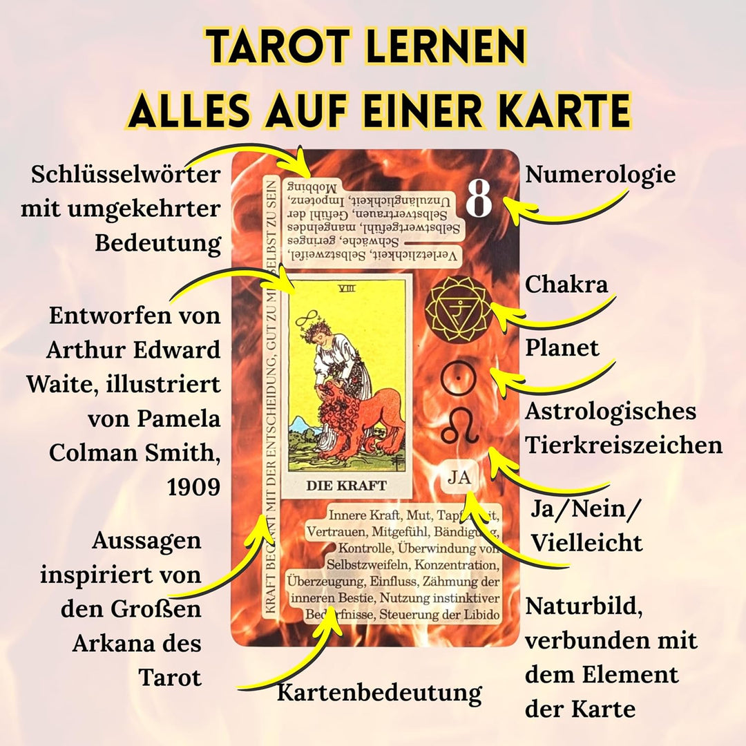 Witchy Cauldron Tarotkarten mit Buck für Anfänger, Tarotkarten Deutsch