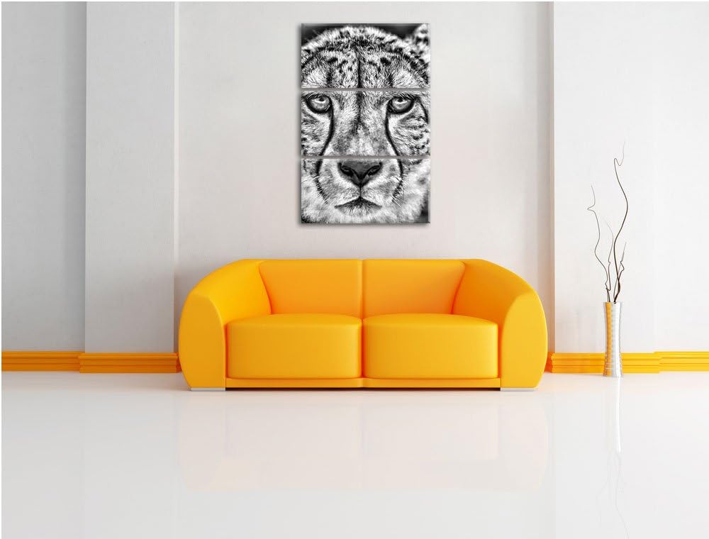 Pixxprint ruhender Gepard als Leinwandbild/Grösse: 3 Teilig (120x80) / Wandbild/Kunstdruck/fertig be