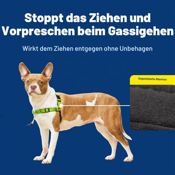 PetSafe Deluxe Easy Walk Hundegeschirr apfelgrün Medium, apfelgrün Medium