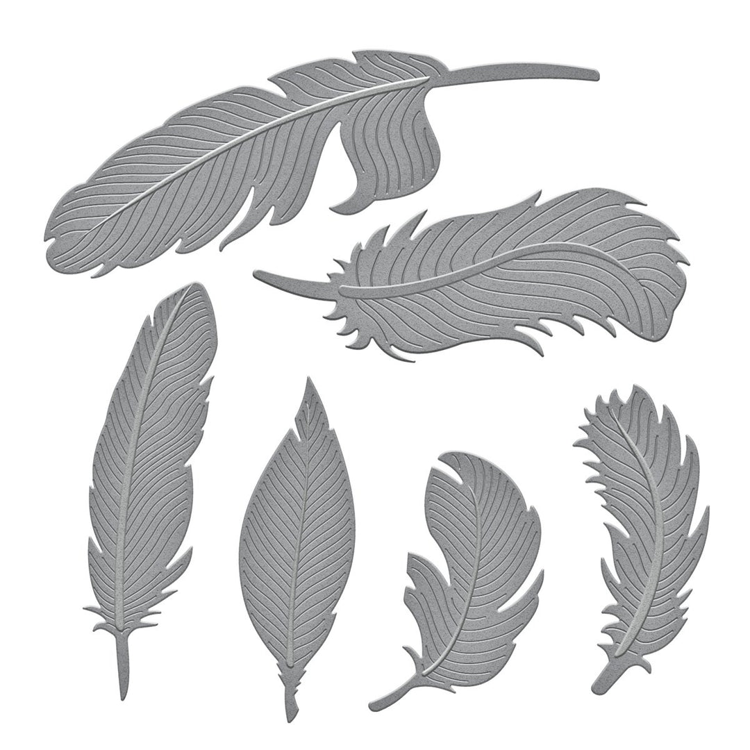 Spellbinders Shapabilities Pfauennfeder Stanz-und Prägeschablone 4-teilig, Metal, braun, 24.8 x 13.3