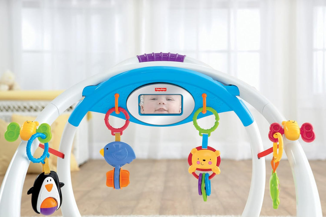 Fisher-Price Mattel Y4476 Apptivity Gym