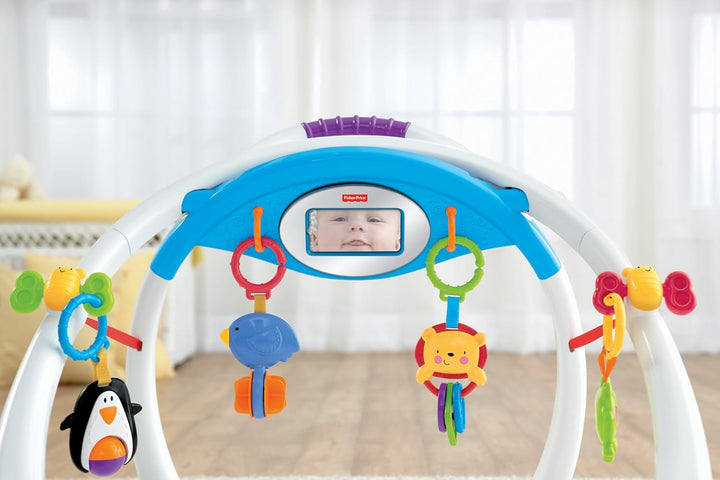 Fisher-Price Mattel Y4476 Apptivity Gym
