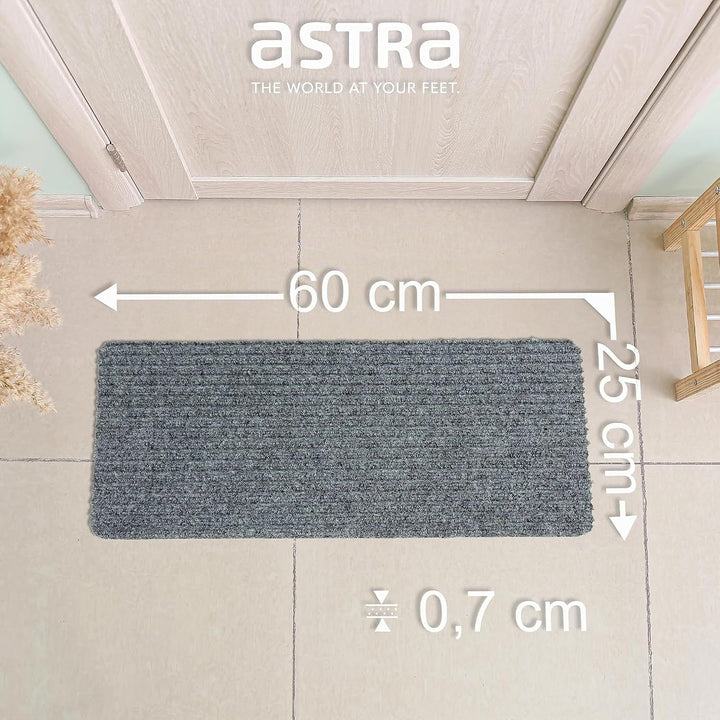 Astra Fussmatte innen Silber Schmutzfangmatte rutschfest – Türmatte 25x60 cm 3er Set wasserabweisend