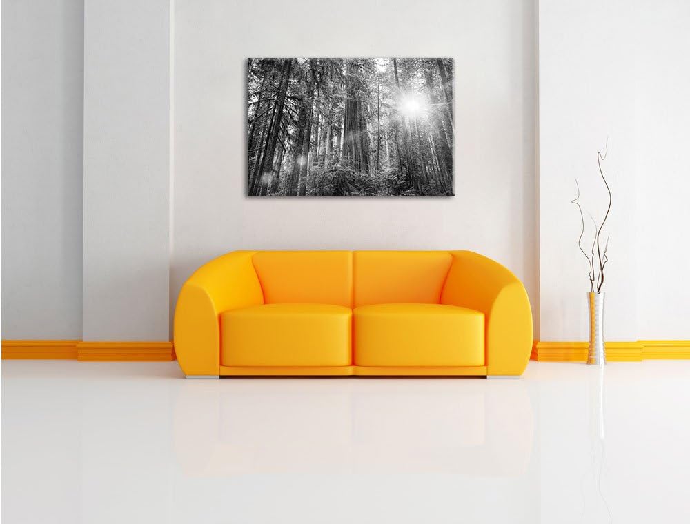 Pixxprint Wald bei Sonnenlicht als Leinwandbild/Grösse: 100x70 / Wandbild/Kunstdruck/fertig bespannt