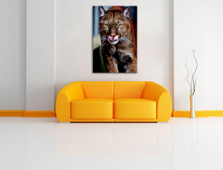 anmutiger Puma Deluxe Format: 100x70 cm auf Leinwand, XXL riesige Bilder fertig gerahmt mit Keilrahm