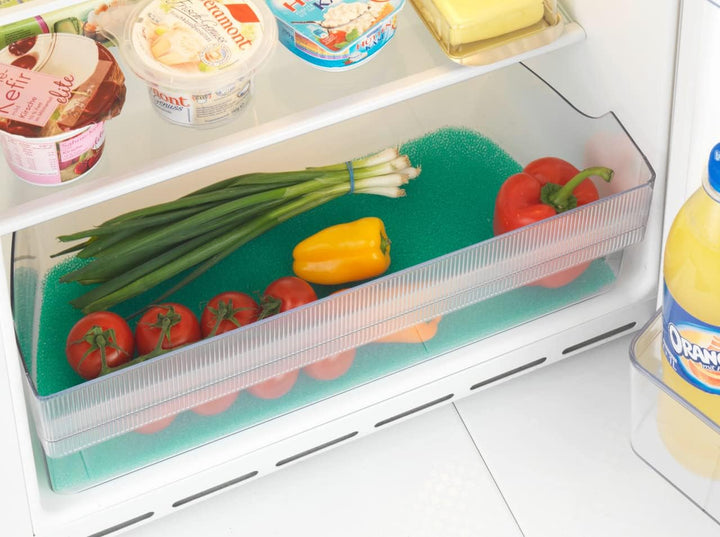 WENKO Kühlschrank Frischhaltematte schützt Lebensmittel vor Druckstellen Grün Grün 47L x 30B x 1D cm