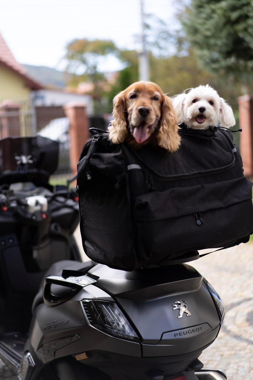 Pet Bag Motorrad Tasche für Hunde (2-36 kg), wasserdicht, tragbar, dreifach belüftet, Gepäckablage o