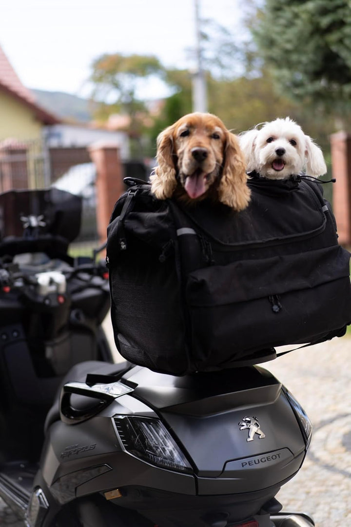 Pet Bag Motorrad Tasche für Hunde (2-36 kg), wasserdicht, tragbar, dreifach belüftet, Gepäckablage o