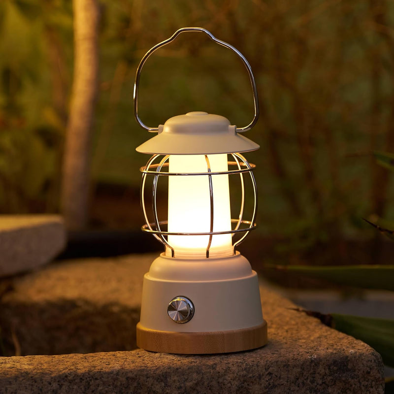 DSLebeen LED Campinglampe,USB C Aufladbar Outdoor Lampe Stufenlos Dimmbar Tischlampe 20-800LM (Leben
