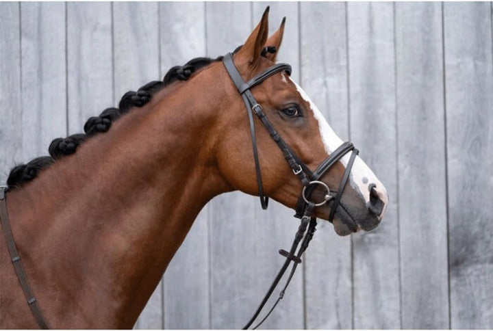 HKM 10892400.0622 Reittrense, Jana Pony, Pony