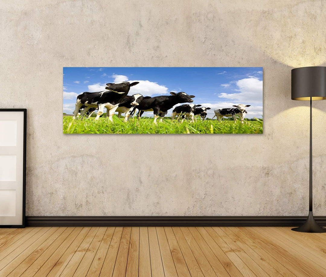 islandburner Bild auf Leinwand Holsteinische Kühe Auf Der Wiese Bilder Wandbilder Poster Leinwand 12