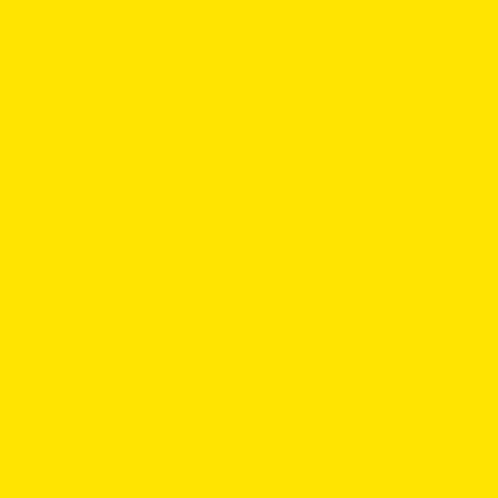 ADLER Ferro-Color RAL1021 Rapsgelb 2,5 l, 3in1 Rostfarbe, innen, aussen RAL1021 Rapsgelb 2.5L, RAL10