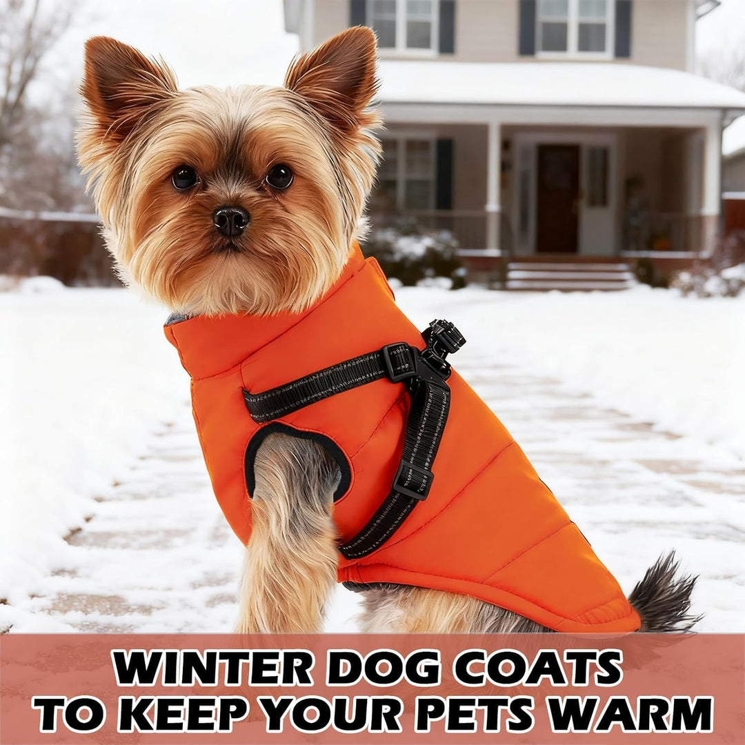 Hundemantel Winter mit Geschirr Einstellbar, ZoneYan Wasserdicht & Warm Hundemantel für Kleine Hunde