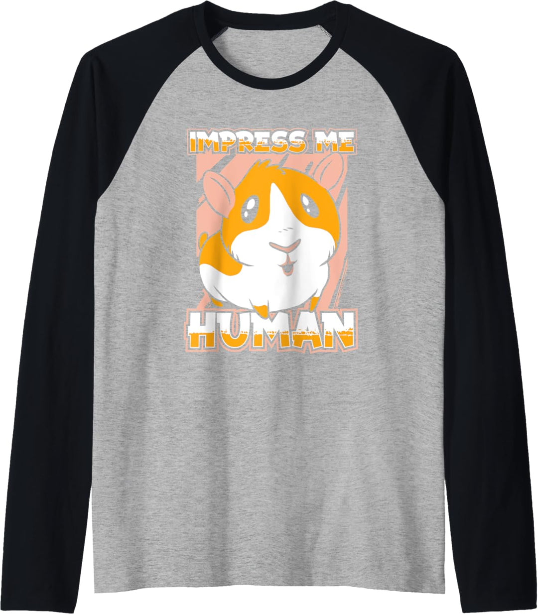 Meerschwein Haustier - Meerschweinchen Raglan