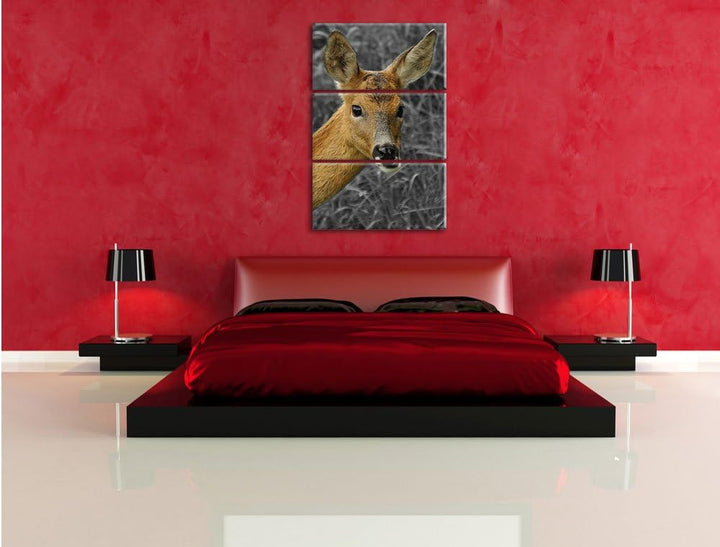Pixxprint stolzes REH beim Fressen als Leinwandbild/Grösse: 3 Teilig (120x80) cm/Wandbild/Kunstdruck