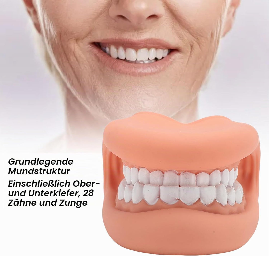 Mundpuppe, Handpuppe mit Mundmotorik und 28 Zähnen, Pädagogisches Lernwerkzeug aus Silikon für und K