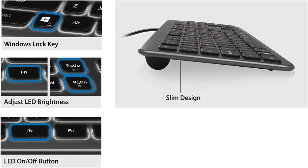 Ewent EW3268 Tastatur mit LED-Hintergrundbeleuchtung, USB-Kabel, Standardgrösse, grosser Druck, ital