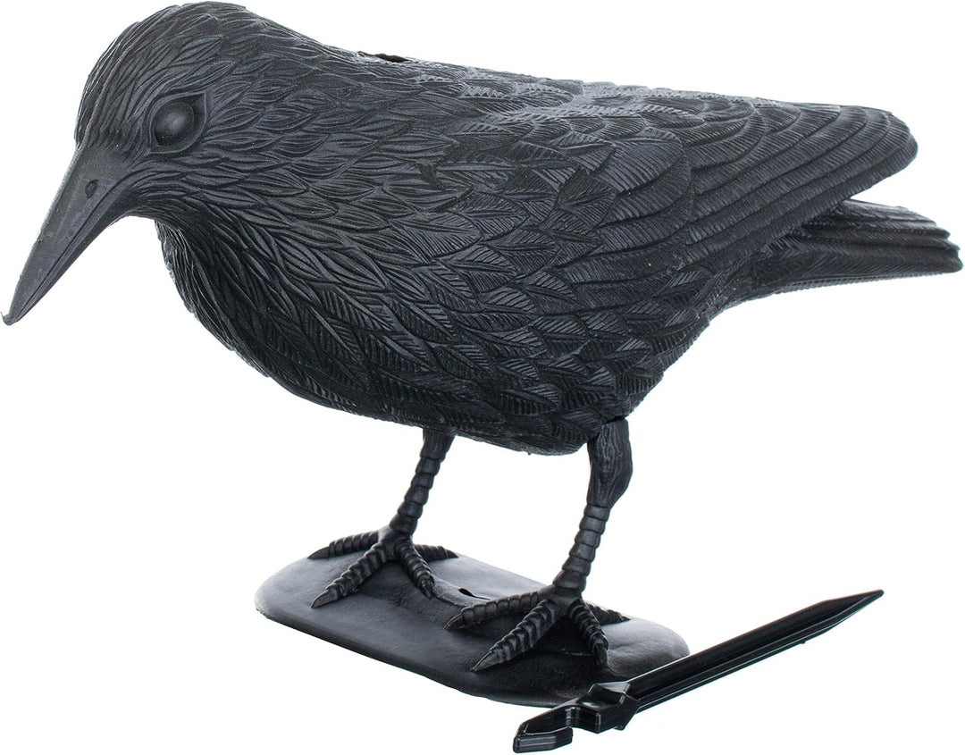 Brandsseller Schwarzer Rabe aus Kunststoff 36 x 20 cm Taubenabwehr Vogelschreck gegen kleine Vögel u