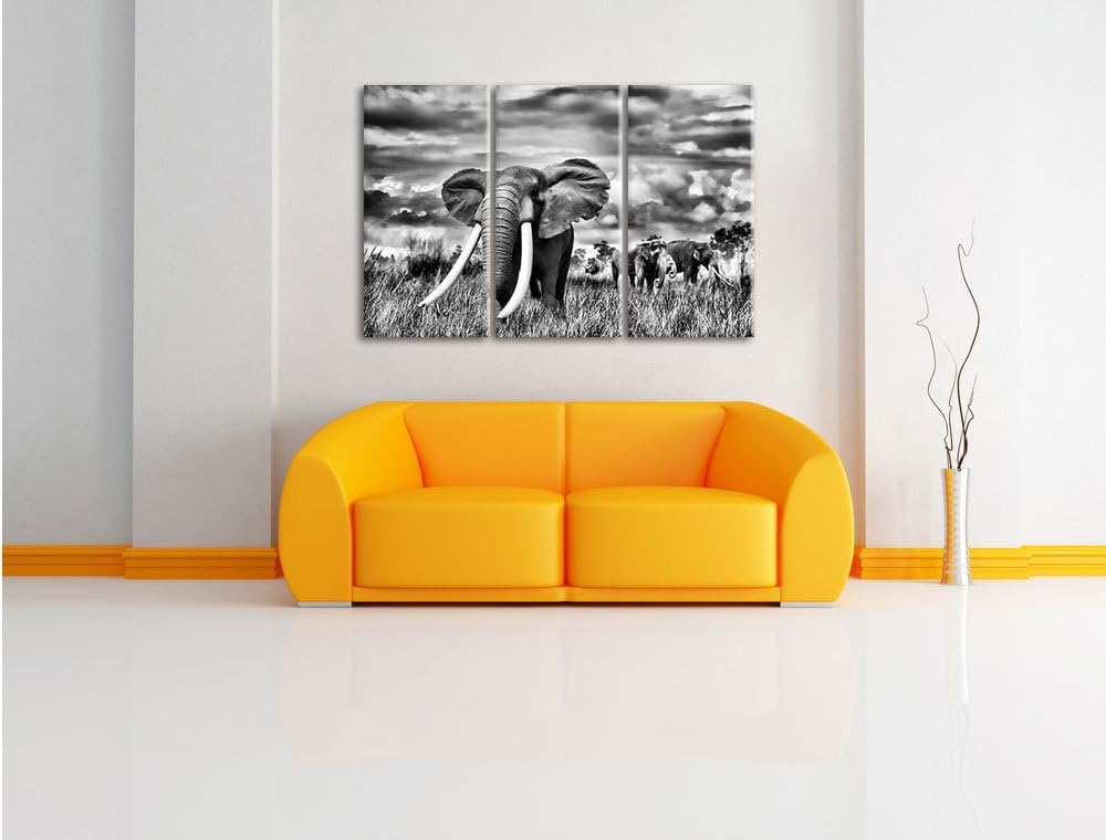 Pixxprint Stolzer Elefant in Savanne als Leinwandbild/Grösse: 3 Teilig (120x80) cm/Wandbild/Kunstdru