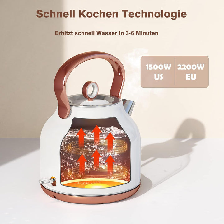 NESSGRAIM Retro Wasserkocher, 1,7 l Edelstahl-Teekessel mit Grosser Temperaturanzeige, 2200W Schnell
