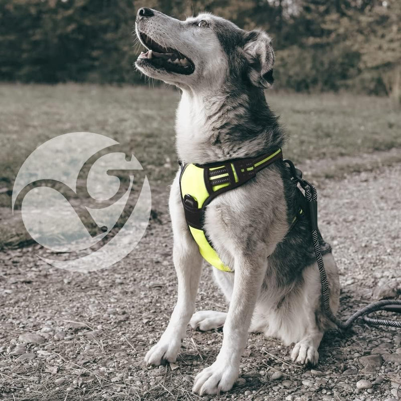 Hunde-Geschirr für kleine und grosse Hunde, Brustgeschirr gepolstert und reflektierend, verstellbar