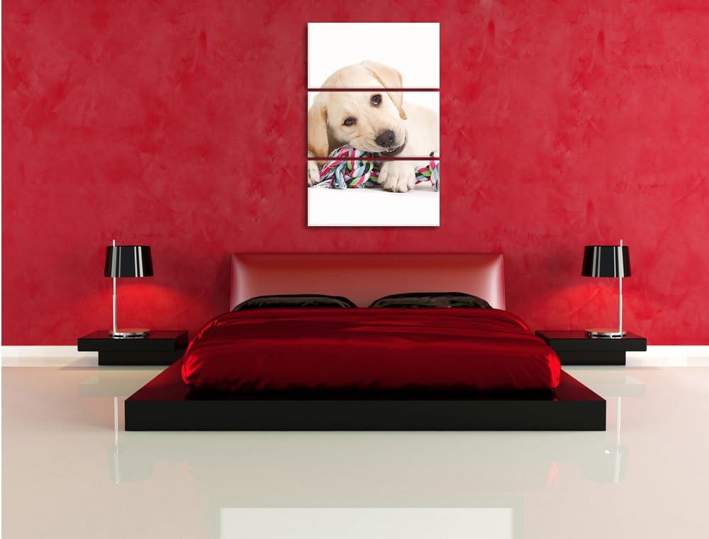 Pixxprint Hundewelpe 3-Teiler Leinwandbild 120x80 Bild auf Leinwand