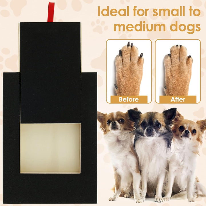 Hunde Krallen Kratzbrett 35x25x3cm Kratzbrett für Hunde mit Leckerli Box Quadrat Stressfrei Dog Nail