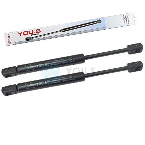 YOU.S 04429617 Gasfeder für Türscheibe Länge: 250 mm Kraft: 750 N (2 Stück)