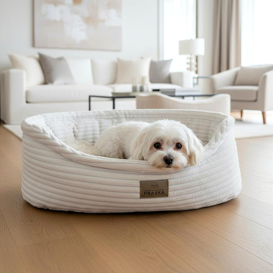 PRASKA Katzenbett Hugo – Premium Haustierbett für Katzen & kleine Hunde, Gemütliches Tierbett mit ho