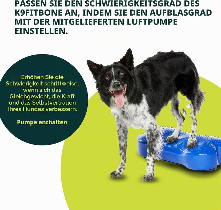 Ball Dynamics FPK9BONE BL K9FITbone, Balance - Trainingsgerät, 58 x 29 x 10m, himmelblau