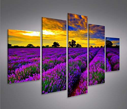 islandburner Bild Bilder auf Leinwand Lavendelfeld V4 Lavendel Provence MF XXL Poster Leinwandbild W