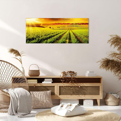 Wandbilder Dekoration Wohnzimmer Land Weingut Pflanzung Panorama Bilder auf Leinwand 120x50cm Leinwa