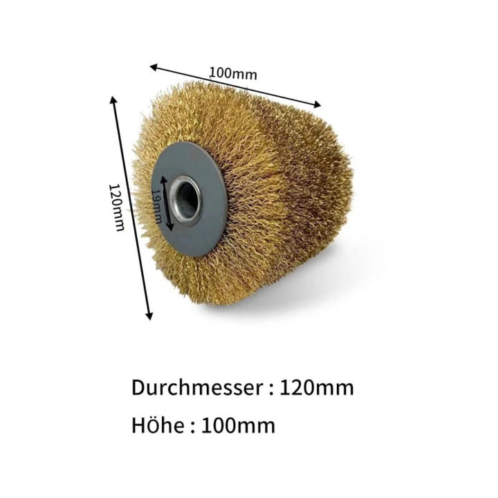 FANZTOOL Satinierwalze Schleifbürste für Satiniermaschine, Schleifbreite 100 mm, Scheuerdurchmesser