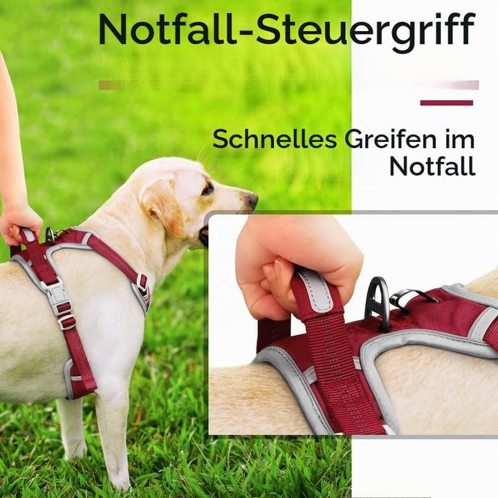 ThinkPet Anti Zug Hundegeschirr mit Griff - Verstellbar ohne Würgen, Reflektierend, Atmungsaktiv, Ge