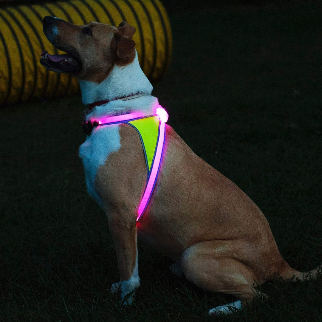 noxgear LightHound – Revolutionäres beleuchtetes und reflektierendes Geschirr für Hunde, inklusive m