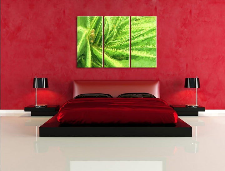 Pixxprint Aloe Vera Pflanze als Leinwandbild/Grösse: 3 Teilig (120x80 cm) cm/Wandbild/Kunstdruck/fer