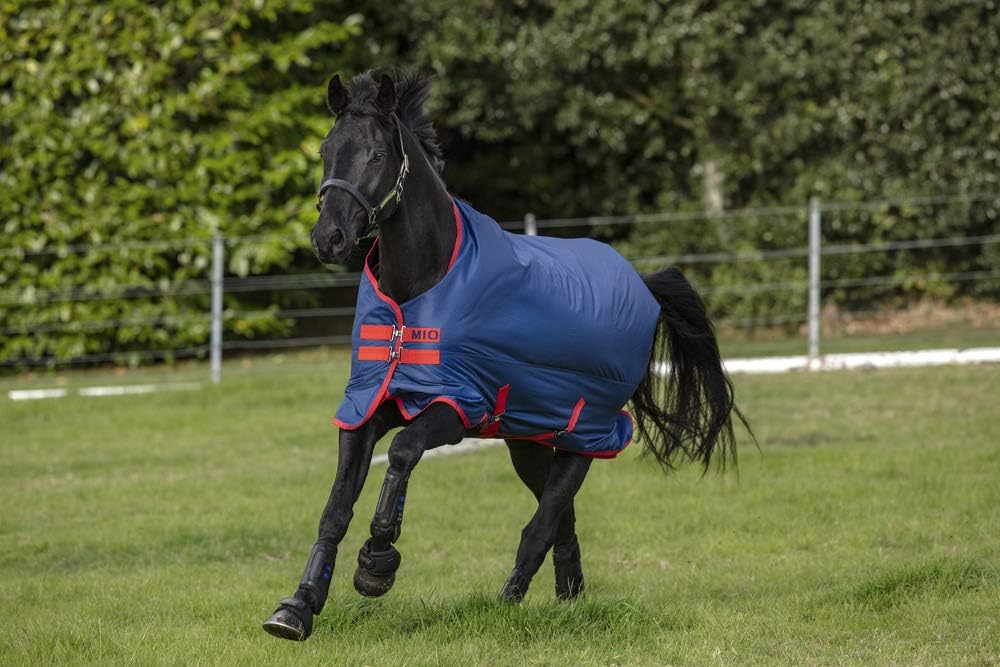 Horseware Amigo Mio Turnout lite Dark Blue red Gr. wählbar 7'0, 7'0