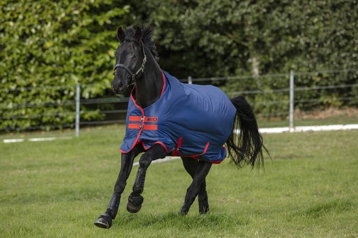 Horseware Amigo Mio Turnout lite Dark Blue red Gr. wählbar 4'6, 4'6