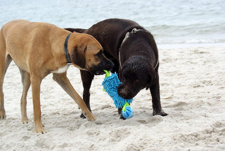 Dingo Mop Bungee Orange Mikrofaser mit Vanille Duft Ball Hundespielzeug Agility Apporte zum Spielen