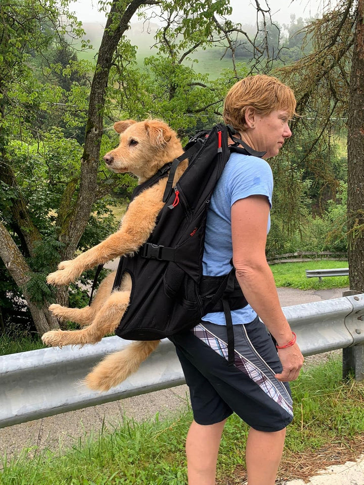 Patentierter PREMIUM XXL Leg free Hunderucksack - Hundetrage Hundetasche Rucksack für Hunde von 15-2