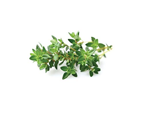 Click and Grow - Smart Garden Refill 3-Pack - Thyme (SGR17X3)