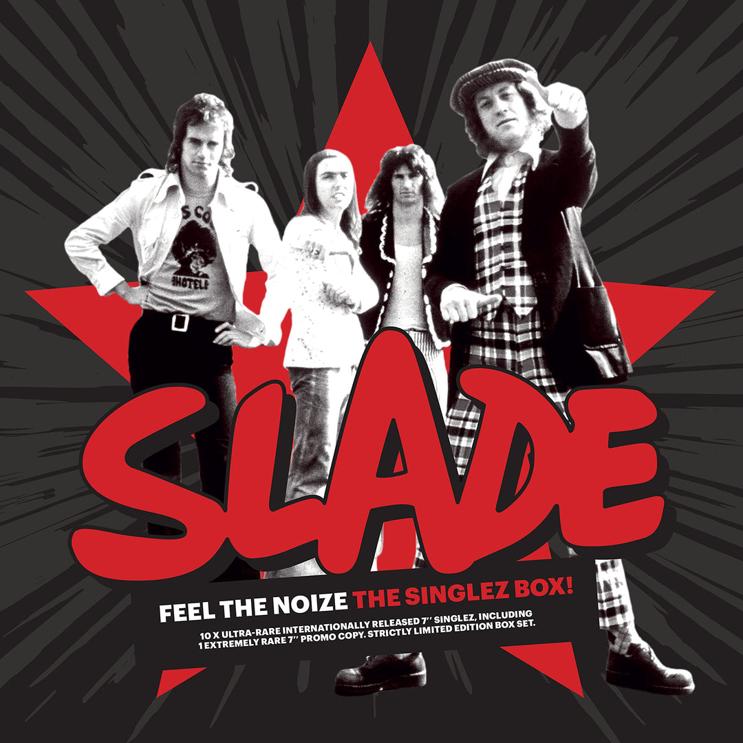 Feel the Noize, Vinyl