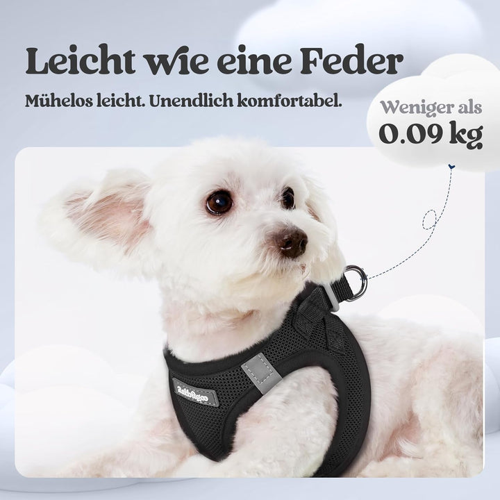 rabbitgoo Hundegeschirr Kleine Hunde mit Leine, Step-in Welpengeschirr Weich Mesh für Spaziergänge,