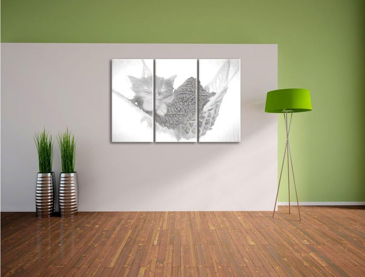 Pixxprint Schlafendes Katzenbaby in Hängematte Kohle Zeichnung Effekt 3-Teiler Leinwandbild 120x80 B