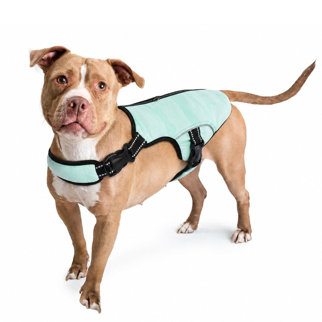 Kühlung für Hunde, Hund Kühlweste Kühler Jacke Kühlende Kleidung Haustiere Kühlende Hundeweste für O