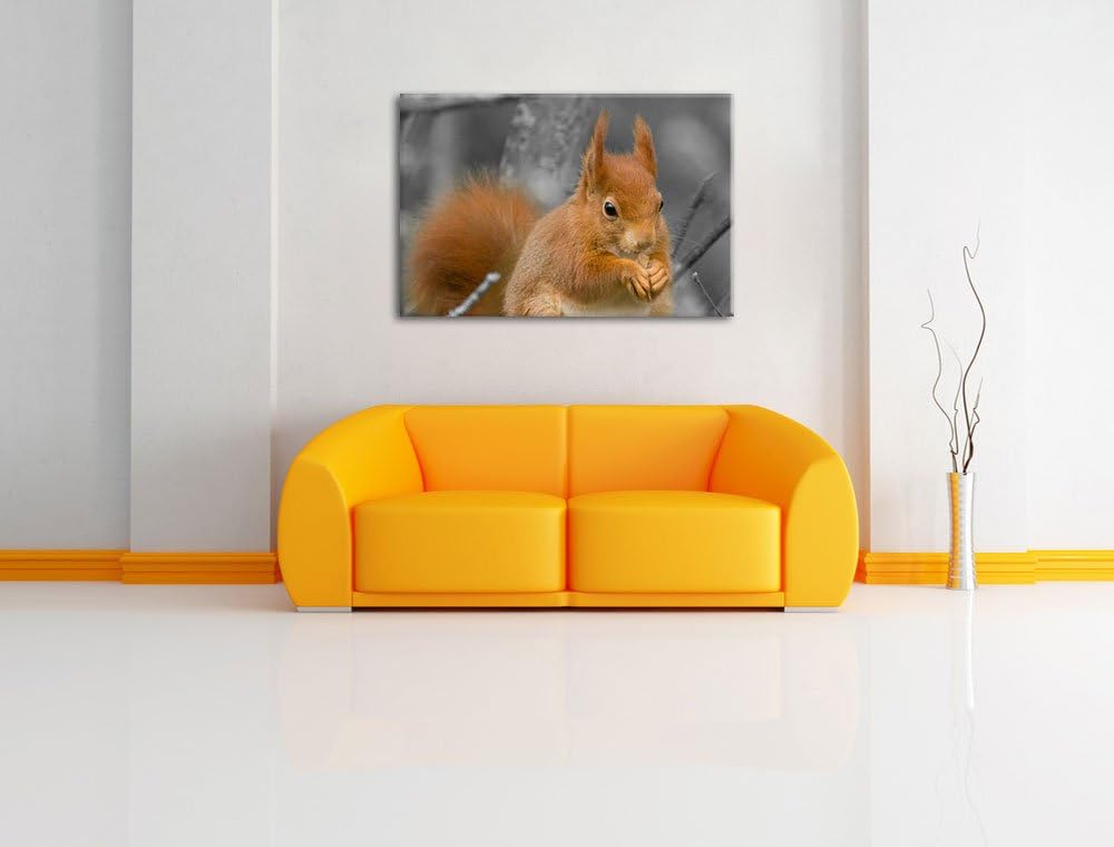 freches Eichhörnchen beim Fressen schwarz/weiss auf Leinwand, XXL riesige Bilder fertig gerahmt mit