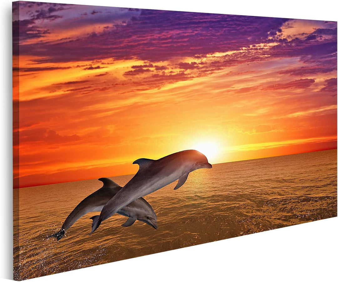 islandburner Bild auf Leinwand Springende Delfine Sonnenuntergang Meer Bilder Wandbilder Poster Lein