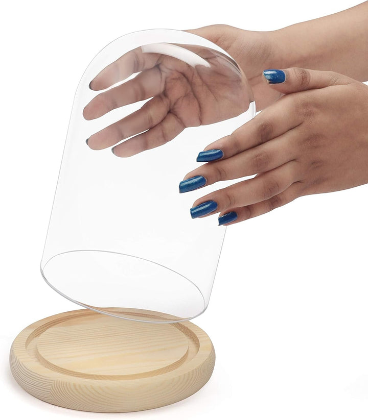 BELLE VOUS Glasglocke mit Holzboden - 20cm hohe Glaskuppel mit Holzboden - Glasglocke Gross Deko - t