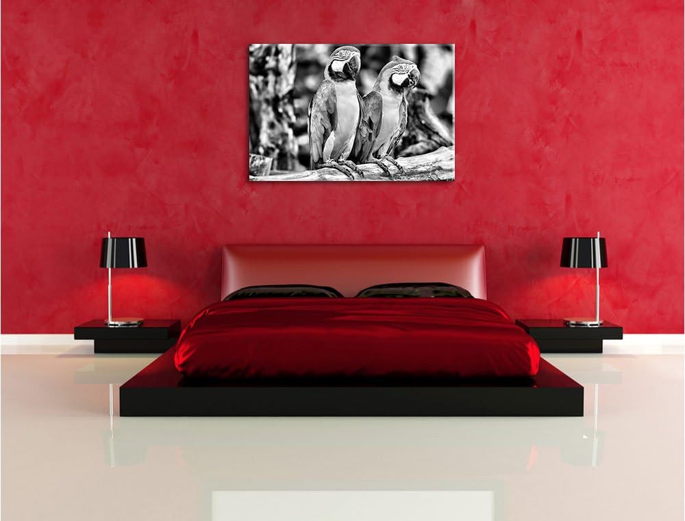 Monocrome, Zwei Papageien, Format: 100x70 auf Leinwand, XXL riesige Bilder fertig gerahmt mit Keilra